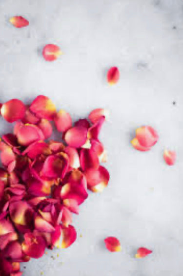 !Back In Stock! Rose Petal Tincture